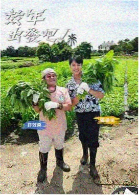 反击王风声影院投票榜单改版资讯配图